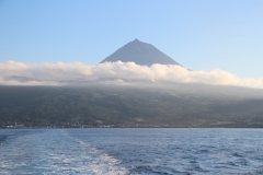 Pico
