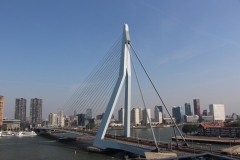 Roterdão - Ponte Erasmus