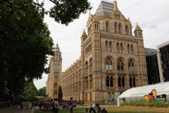 Londres - Natural History Museum